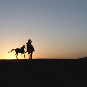 The Truth Shall Set You Free