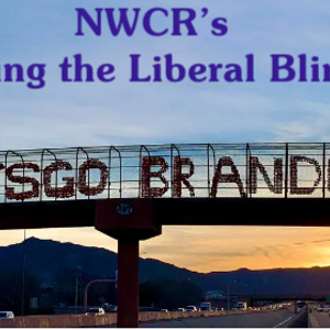 Removing the Liberal Blindfold