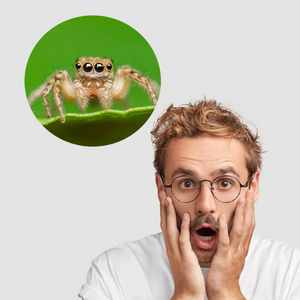 When Giants Break the Spell