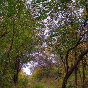 Un Sendero Saludable