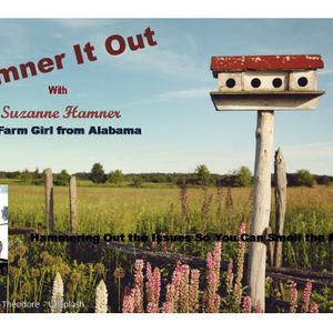 Hamner It Out
