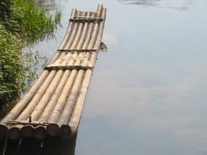 Holiness of the Bride