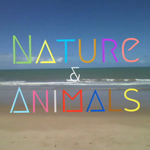 Nature & Animals