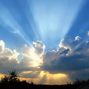 TruthSearchEngine.com