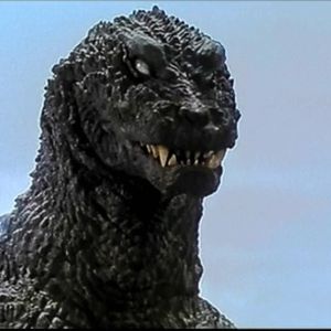 dhgodzilla1