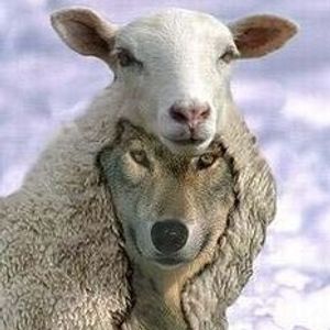 Holy Order of Scientists