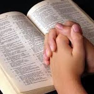 Batalladores en EL CAMINO