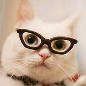 Kilowag's Cool Cat Channel.