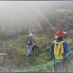 Mystic Walks Club