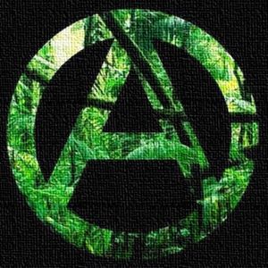 Brian Wilkins - Lucid Farms