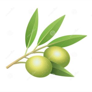 Olive Community