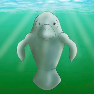 Hiw Manatee's Soul Science