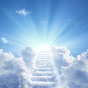 YAH the only SHEPHERD