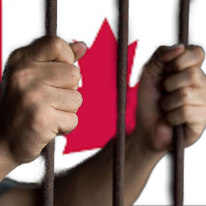 Les survivants libres