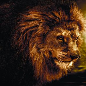 Solace Radio Streaming