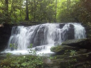 Art, Reason and Inspiration