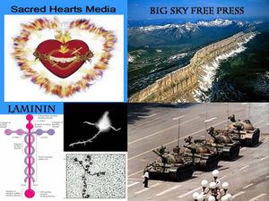 Sacred Hearts Media