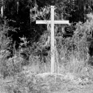 Our Two families dot com