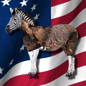 ZebraJerky