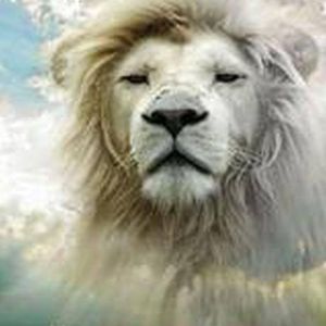 Demolishing the Strongholds